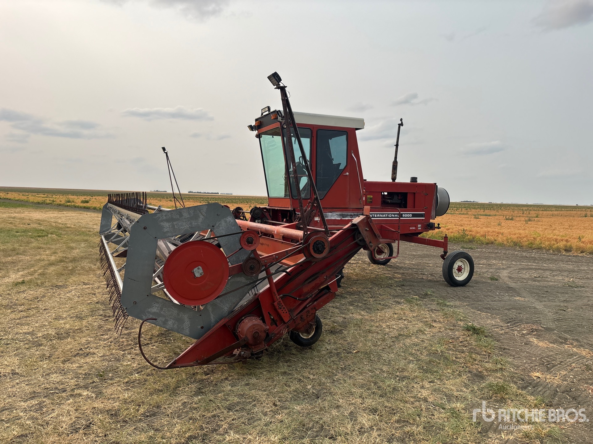 International 5000 Swather Windrower