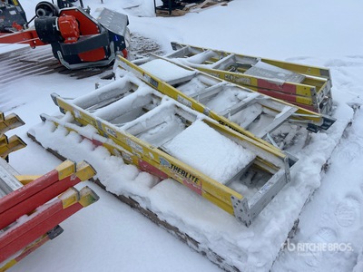 Quantity of (6) Platform Échelle