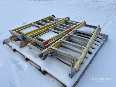 Quantity of (6) Platform Échelle