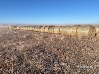 Quantity of (33) Round Hay Bales