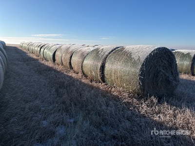 Quantity of (30) Round Hay Bales