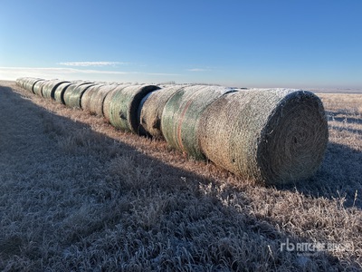 Quantity of (34) Round Hay Bales
