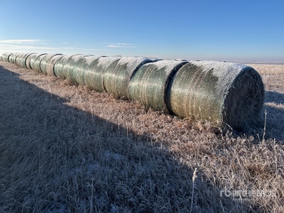 Quantity of (30) Round Hay Bales