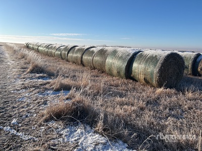 Quantity of (27) Round Hay Bales
