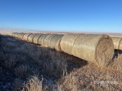 Quantity of (32) Round Hay Bales