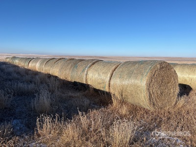 Quantity of (32) Round Hay Bales
