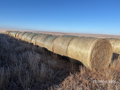 Quantity of (32) Round Hay Bales