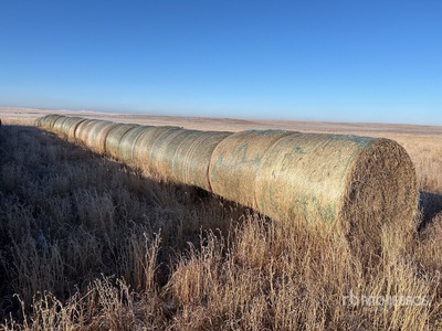 Quantity of (32) Round Hay Bales