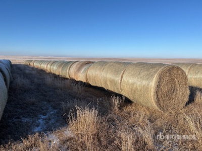 Quantity of (33) Round Hay Bales