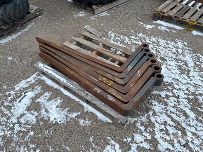 Quantity of (6) 48 in Palletvorken voor Verreiker