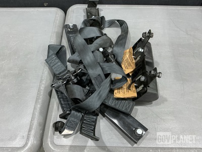 (4) Immi F104047 Vehicular Safety Belts