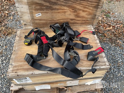 (4) DTA198576 Vehicular Safety Belts