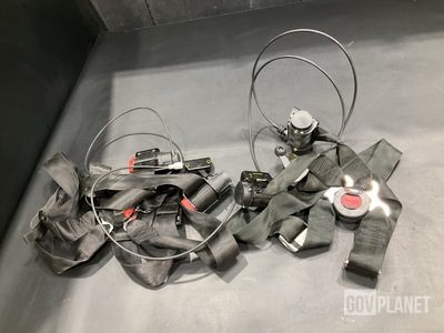 (2) Schroth Safety Products 90381 REVE Safety Belts