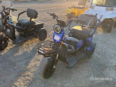 2025 Flying Electric ユーティリティカート (Unused)