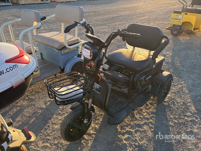 2025 Flying Electric ユーティリティカート (Unused)