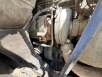 Engine with Exhaust System