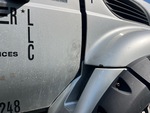 General Appearance with Paint
