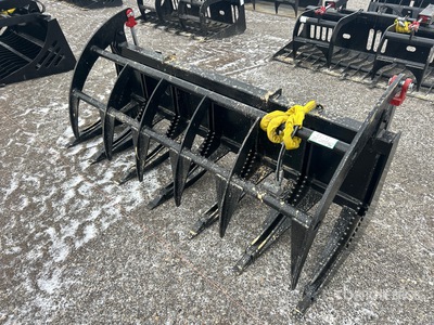 All-Star 78 in Root ملقط للسكيد ستير