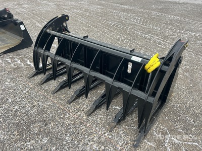 All-Star 74 In Root ملقط للسكيد ستير