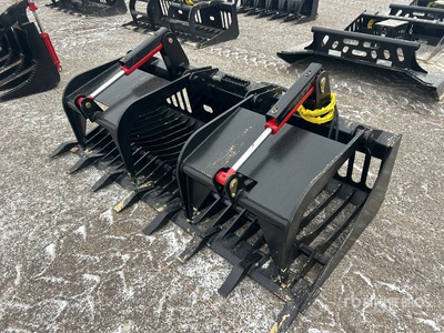 All-Star 80 In Root ملقط للسكيد ستير