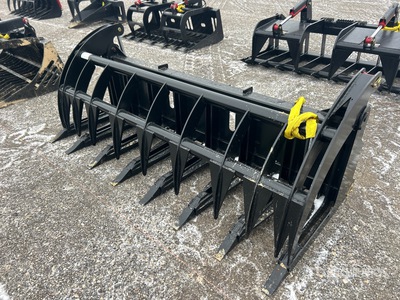 All-Star 84 in Root ملقط للسكيد ستير