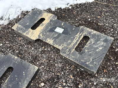 All-Star 49 in لوحة تركيب للسكيد ستير