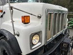 General Appearance with Paint