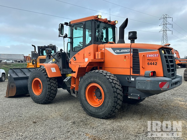 CARGADOR FRONTAL 2018 DOOSAN DL2505