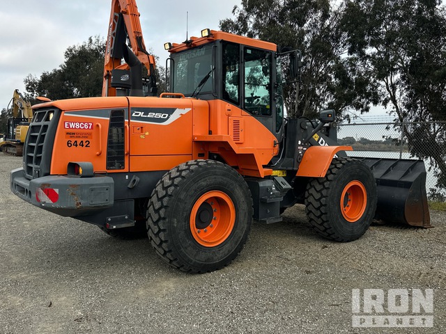 CARGADOR FRONTAL 2018 DOOSAN DL2505
