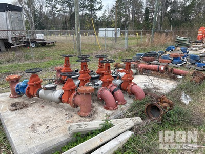 (1) 4" and (4) 6" Back Flow Preventer Assembly's