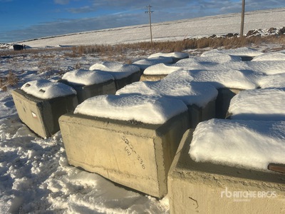 Quantity of (12) Barrier