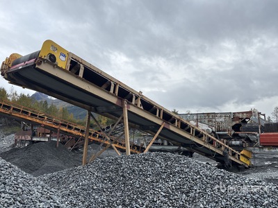 Spomac 36 in x 50 ft Stationary Convoyeur