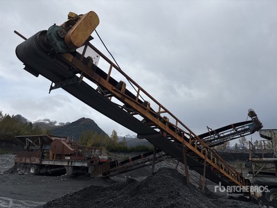 36 in x 50 ft Stationary Convoyeur