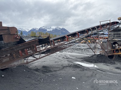 30 in x 50 ft Stationary Convoyeur