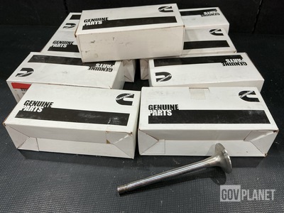 (83) Cummins 3076889 Exhaust Valves