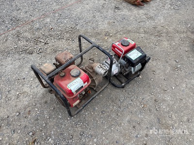 Quantity of (2) Pumps