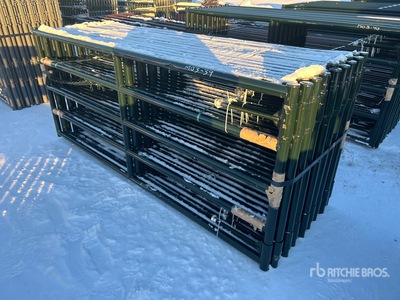 Quantity of (16) 2024 BYT MRG100 9 ft 6 in x 4 ft Steel Magnum Ranch Puerta de ganado (Unused)