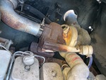 Engine with Exhaust System