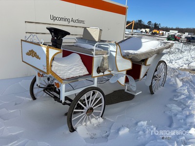 Electric Horseless Carriage Divers - Magasin, entrepôt, consommateur (Unused)