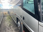 General Appearance with Paint
