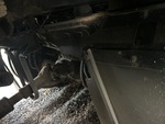 Drivetrain with Rear Drive Axle