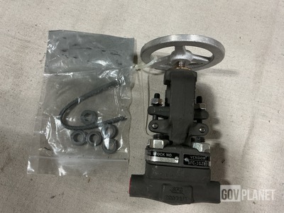 (3) SFC Valve 803-2177525 Globe Valves