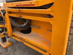 General Appearance with Paint