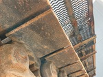 Undercarriage with Left Track Shoes