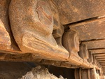 Undercarriage with Left Track Links
