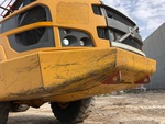 General Appearance with Paint