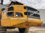 General Appearance with Paint