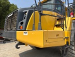 General Appearance with Paint