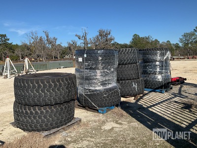 (11) TECHKING 24R21 Tires
