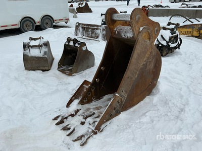 Cat 22 in Digging Excavator Bucket